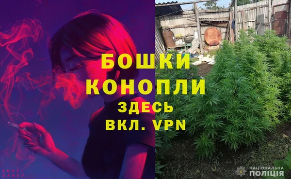 спайс Богданович