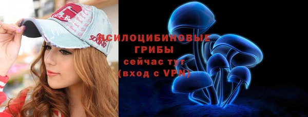 меф Богородицк