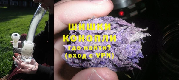 спайс Богданович