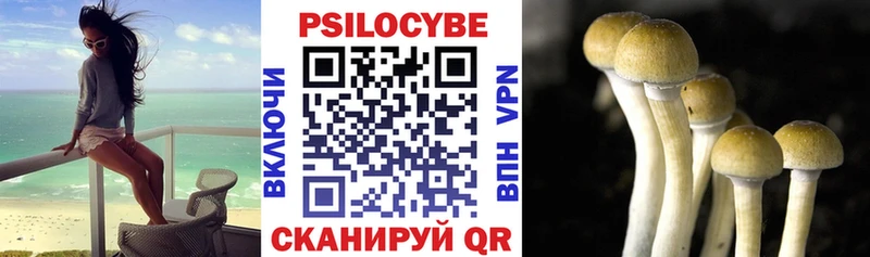 Галлюциногенные грибы мухоморы  закладка  Няндома 